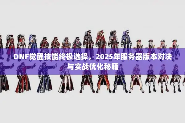 DNF觉醒技能终极选择，2025年服务器版本对决与实战优化秘籍