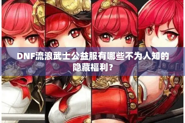 DNF流浪武士公益服有哪些不为人知的隐藏福利？