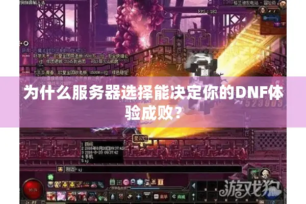 为什么服务器选择能决定你的DNF体验成败？