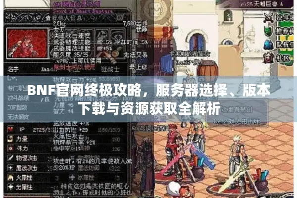 BNF官网终极攻略，服务器选择、版本下载与资源获取全解析