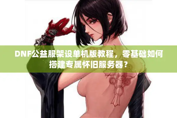 DNF公益服架设单机版教程，零基础如何搭建专属怀旧服务器？