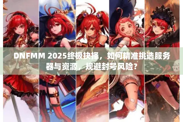 DNFMM 2025终极抉择，如何精准挑选服务器与资源，规避封号风险？