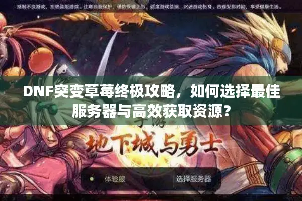 DNF突变草莓终极攻略，如何选择最佳服务器与高效获取资源？