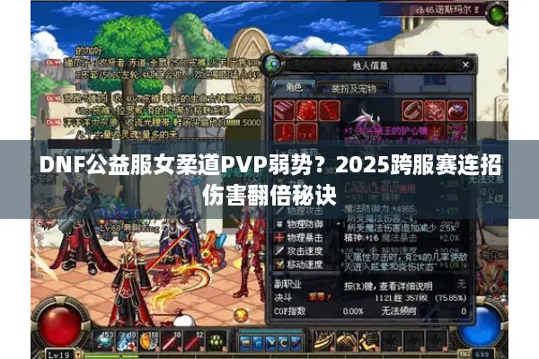 DNF公益服女柔道PVP弱势？2025跨服赛连招伤害翻倍秘诀