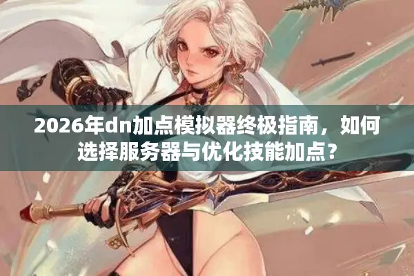 2026年dn加点模拟器终极指南，如何选择服务器与优化技能加点？