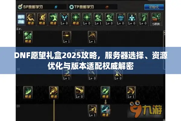 DNF愿望礼盒2025攻略，服务器选择、资源优化与版本适配权威解密