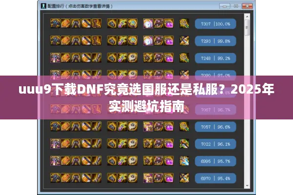 uuu9下载DNF究竟选国服还是私服？2025年实测避坑指南