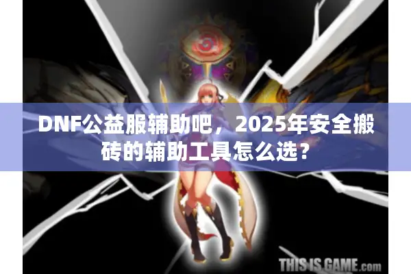 DNF公益服辅助吧，2025年安全搬砖的辅助工具怎么选？