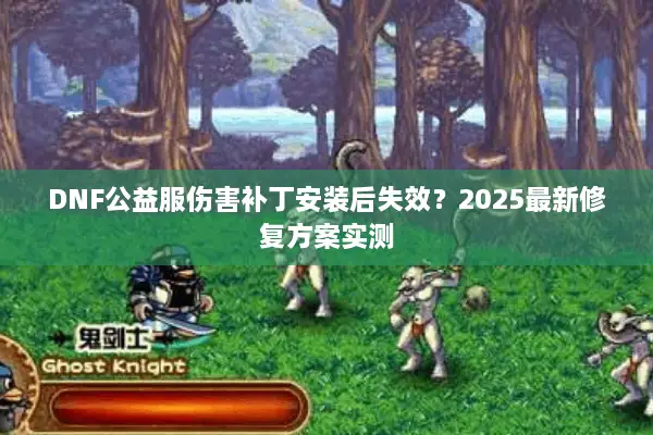 DNF公益服伤害补丁安装后失效？2025最新修复方案实测