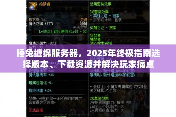 睡兔缠绵服务器，2025年终极指南选择版本、下载资源并解决玩家痛点