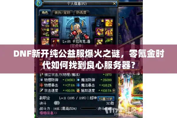 DNF新开纯公益服爆火之谜，零氪金时代如何找到良心服务器？