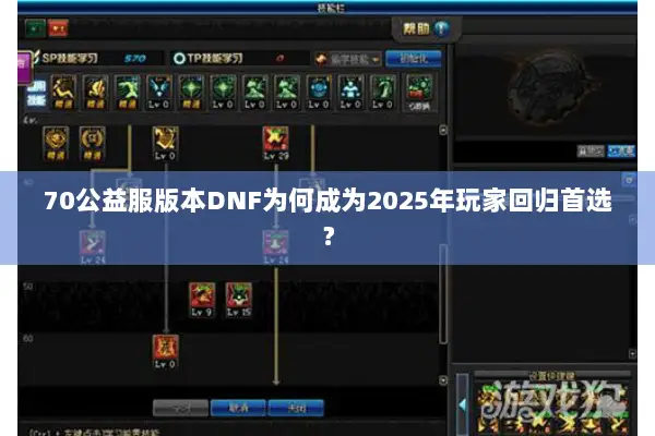 70公益服版本DNF为何成为2025年玩家回归首选？