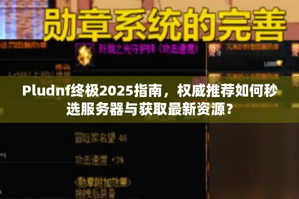 Pludnf终极2025指南，权威推荐如何秒选服务器与获取最新资源？