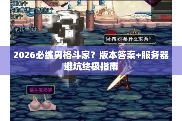 2026必练男格斗家？版本答案+服务器避坑终极指南