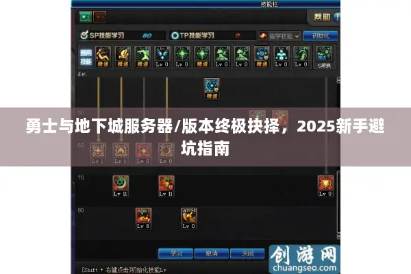 勇士与地下城服务器/版本终极抉择，2025新手避坑指南
