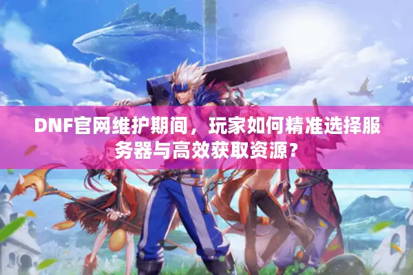 DNF官网维护期间，玩家如何精准选择服务器与高效获取资源？