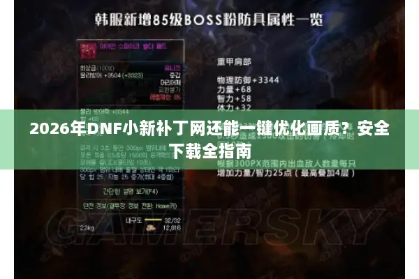 2026年DNF小新补丁网还能一键优化画质？安全下载全指南