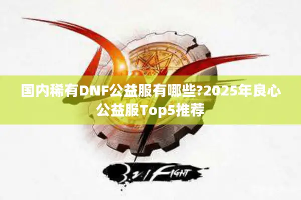国内稀有DNF公益服有哪些?2025年良心公益服Top5推荐