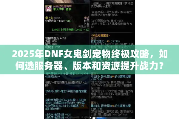 2025年DNF女鬼剑宠物终极攻略，如何选服务器、版本和资源提升战力？