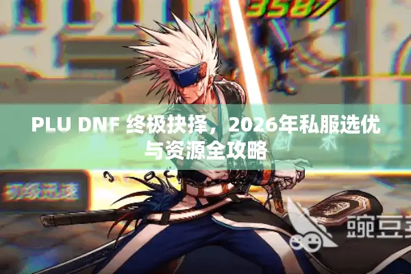 PLU DNF 终极抉择，2026年私服选优与资源全攻略