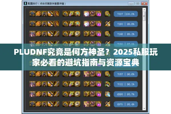 PLUDNF究竟是何方神圣？2025私服玩家必看的避坑指南与资源宝典