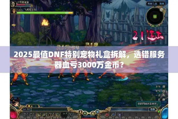 2025最值DNF特别宠物礼盒拆解，选错服务器血亏3000万金币？