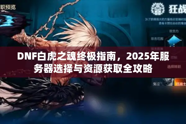 DNF白虎之魂终极指南，2025年服务器选择与资源获取全攻略