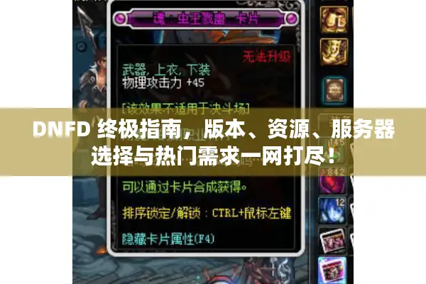 DNFD 终极指南，版本、资源、服务器选择与热门需求一网打尽！