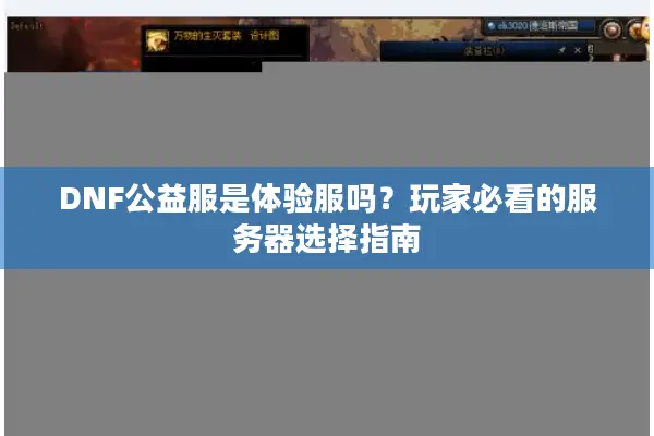 DNF公益服是体验服吗？玩家必看的服务器选择指南