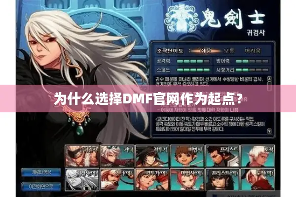 为什么选择DMF官网作为起点？
