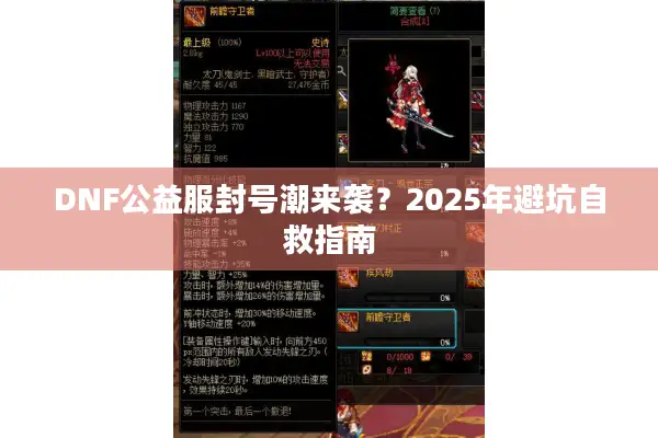 DNF公益服封号潮来袭？2025年避坑自救指南