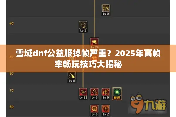 雪域dnf公益服掉帧严重？2025年高帧率畅玩技巧大揭秘