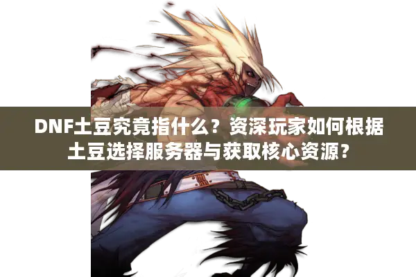 DNF土豆究竟指什么？资深玩家如何根据土豆选择服务器与获取核心资源？