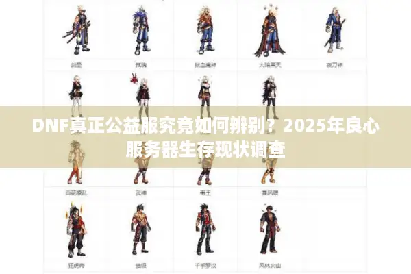 DNF真正公益服究竟如何辨别？2025年良心服务器生存现状调查