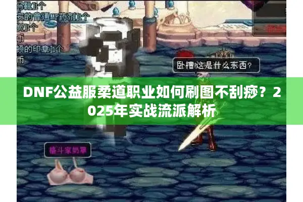 DNF公益服柔道职业如何刷图不刮痧？2025年实战流派解析