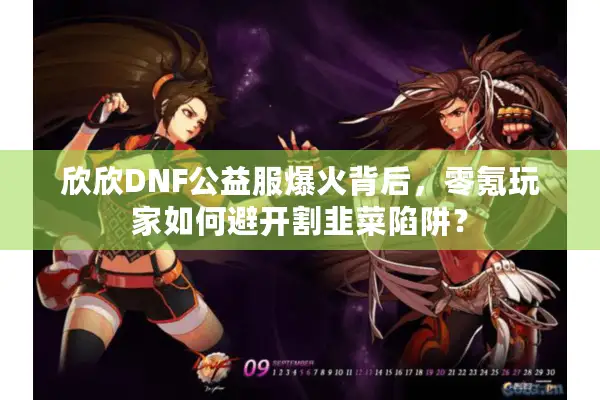 欣欣DNF公益服爆火背后，零氪玩家如何避开割韭菜陷阱？