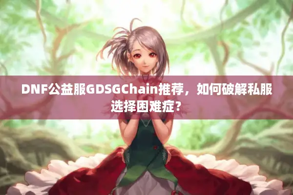 DNF公益服GDSGChain推荐，如何破解私服选择困难症？