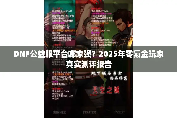DNF公益服平台哪家强？2025年零氪金玩家真实测评报告