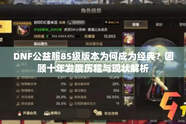 DNF公益服85级版本为何成为经典？回顾十年发展历程与现状解析