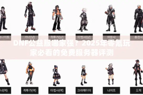 DNF公益服哪家强？2025年零氪玩家必看的免费服务器评测