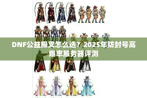 DNF公益服叉怎么选？2025年防封号高爆率服务器评测