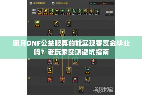明月DNF公益服真的能实现零氪金毕业吗？老玩家实测避坑指南