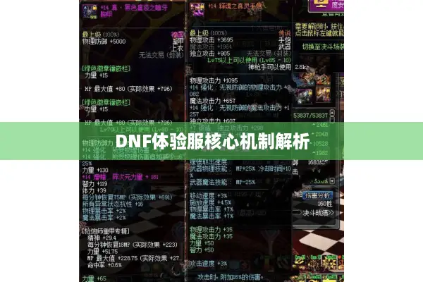 DNF体验服核心机制解析