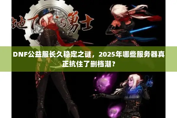 DNF公益服长久稳定之谜，2025年哪些服务器真正抗住了删档潮？