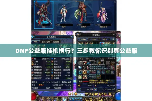 DNF公益服挂机横行？三步教你识别真公益服