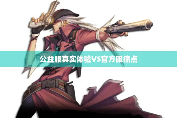 公益服真实体验VS官方服痛点