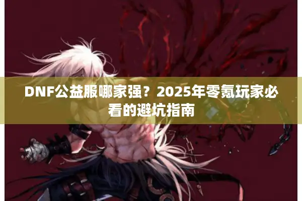 DNF公益服哪家强？2025年零氪玩家必看的避坑指南