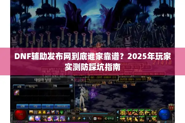 DNF辅助发布网到底谁家靠谱？2025年玩家实测防踩坑指南