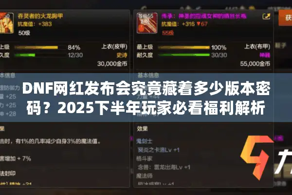 DNF网红发布会究竟藏着多少版本密码？2025下半年玩家必看福利解析