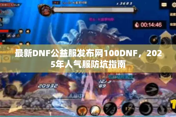 最新DNF公益服发布网100DNF，2025年人气服防坑指南